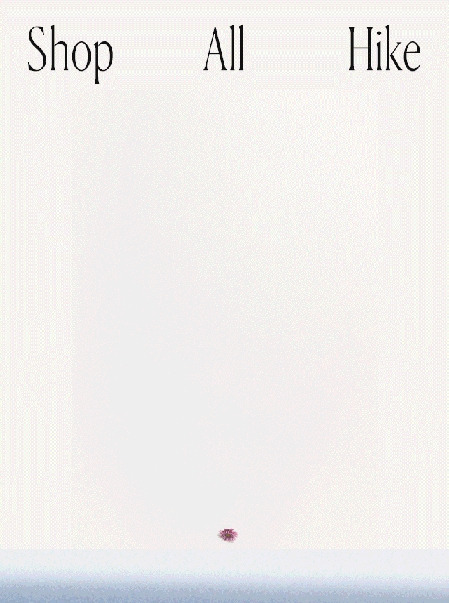 Newsletter content from freepeople