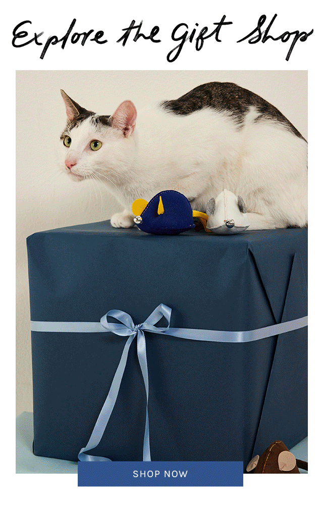 Newsletter content from freepeople