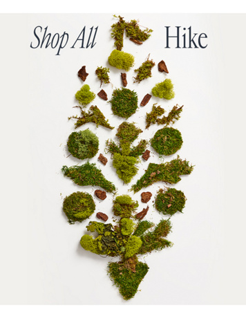 Newsletter content from freepeople