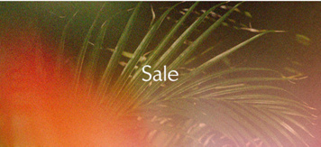 Newsletter content from freepeople