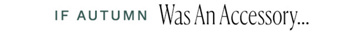 Newsletter content from freepeople
