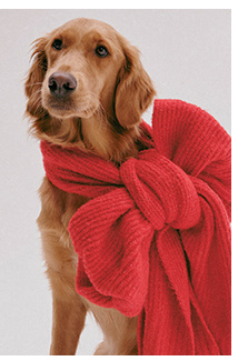 Newsletter content from freepeople