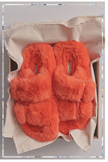 Newsletter content from freepeople