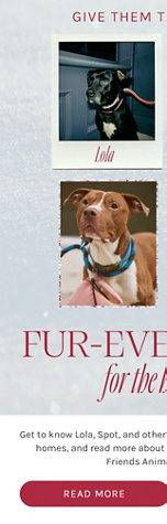 Newsletter content from freepeople