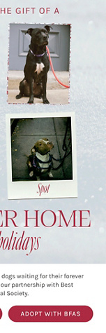 Newsletter content from freepeople
