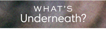Newsletter content from freepeople