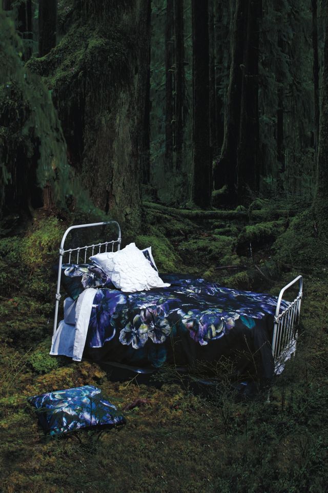 Marigold Bed #3