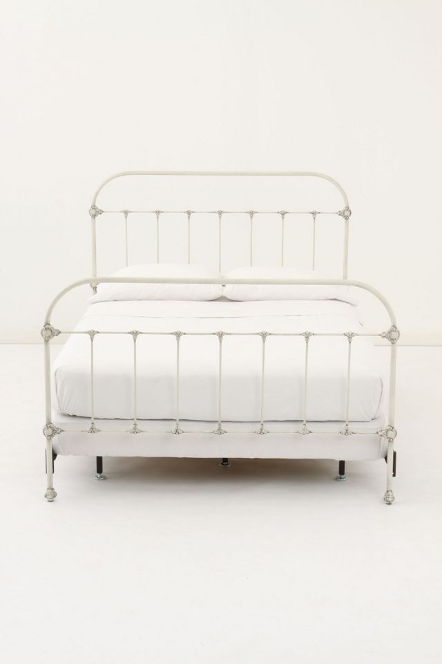 Marigold Bed #5