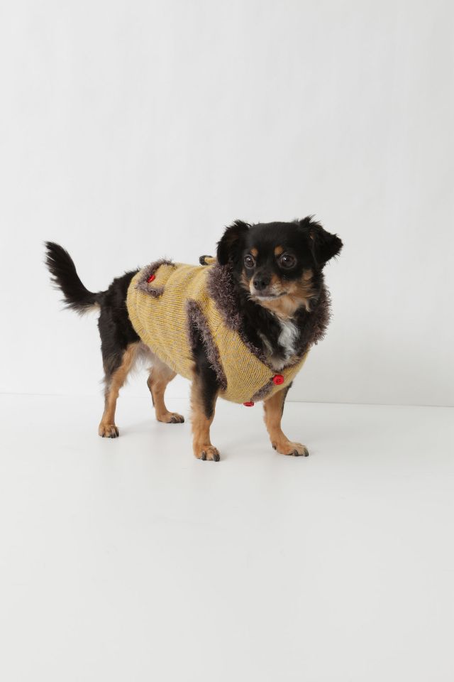 Anthropologie clearance dog sweater