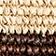 Brown Stripe