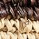 Brown Stripe