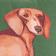 Dachshund, 14" X 20"