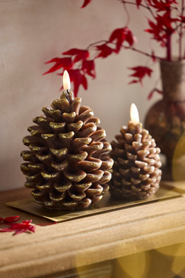 Terrain Flameless Pinecone Candle In Brown