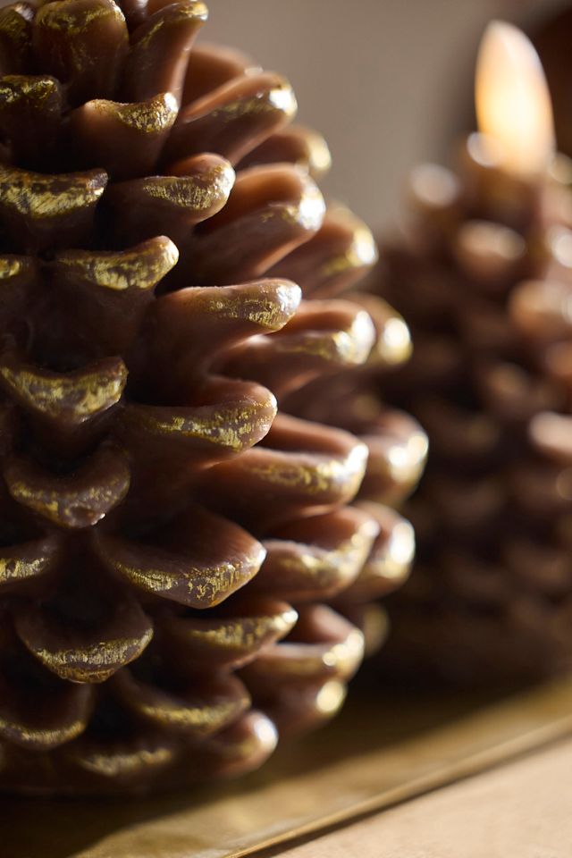 Flameless Pinecone Candle #1