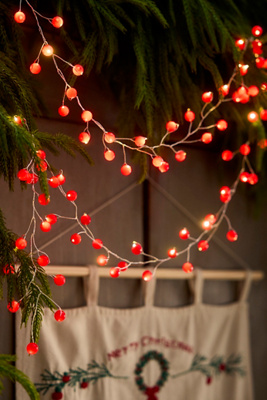 Terrain Berry String Lights In Red