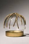 Spider Cloche Terrarium