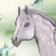 Grey Horse