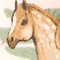 Brown Horse