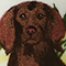Pointer