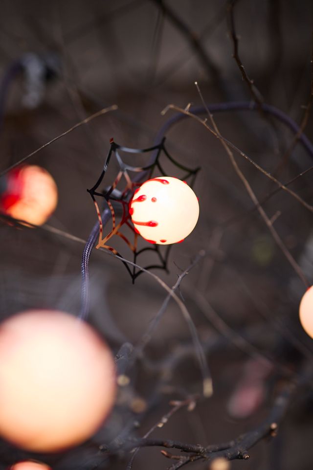 Stargazer Spiderweb Reflectors, Set of 24 #2