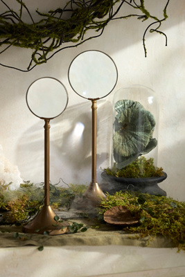 Terrain Magnifying Glass On Stand