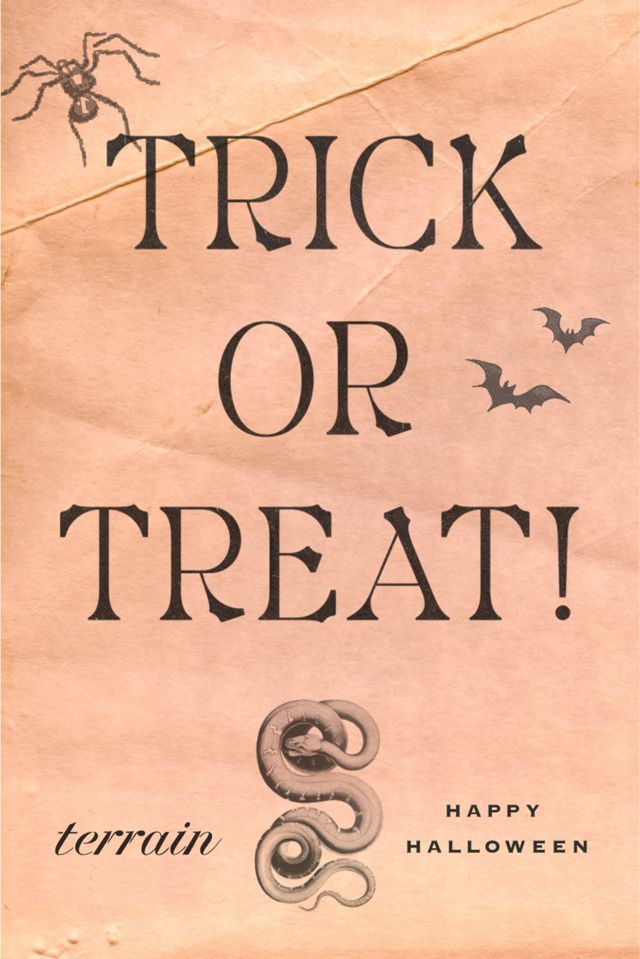 Halloween E-Gift Card