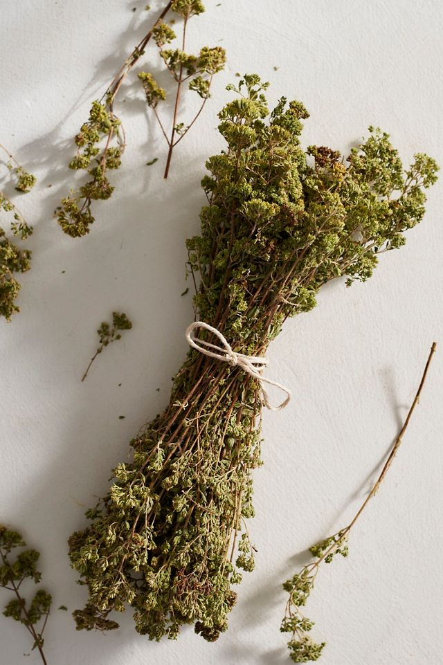 Daphnis and Chloe Oregano from Taygetus Bouquet