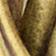 Brushed Brass
