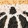 Black & White Pattern