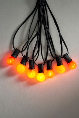 Stargazer Garden Lights, Set of 21 Bulbs, Pumpkin Spice Mini Edition