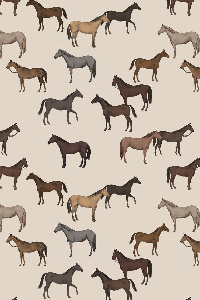 Moody Horses Animal Wallpaper #1