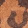 Leopard Nubuck