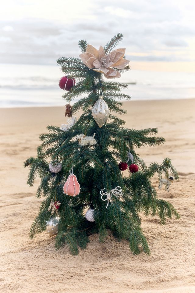 Pearled Velvet Fruit Ornament #3