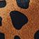 Tan Leopard