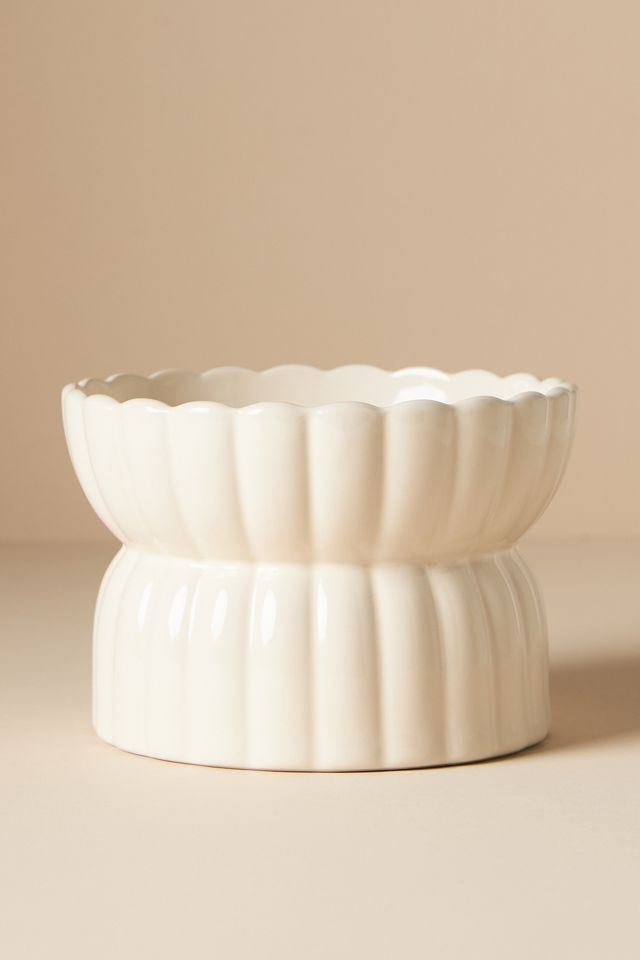 Fringe Studio White Raised Pet Feeder #4