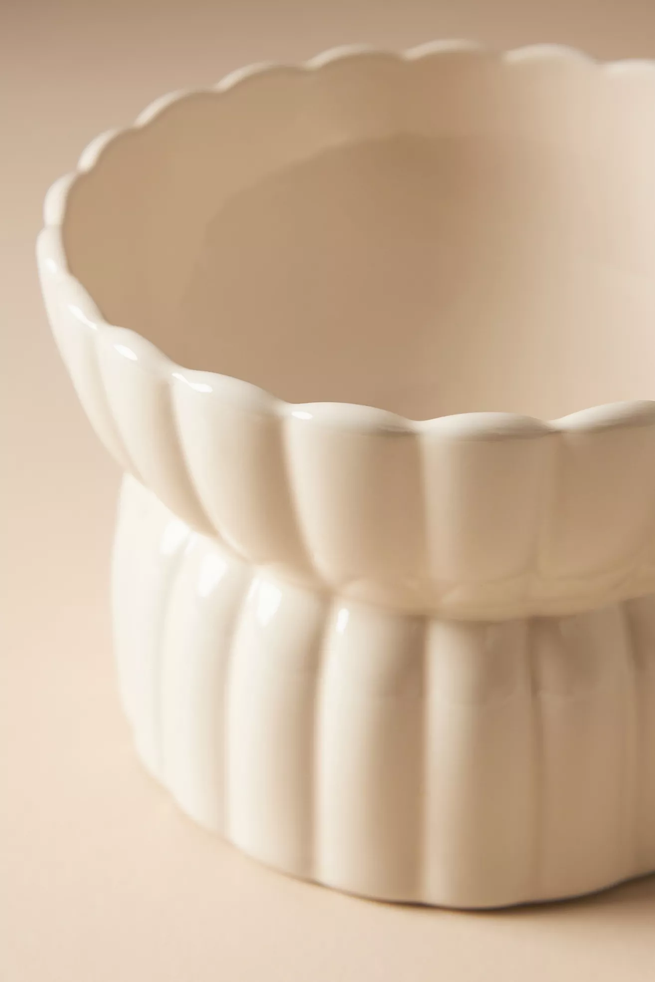 Fringe Studio White Raised Pet Feeder - thumbnail 6