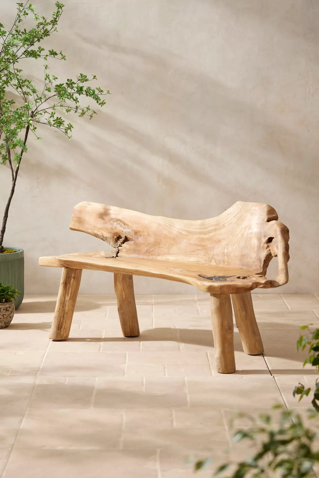 Teak Root Bench - thumbnail 8