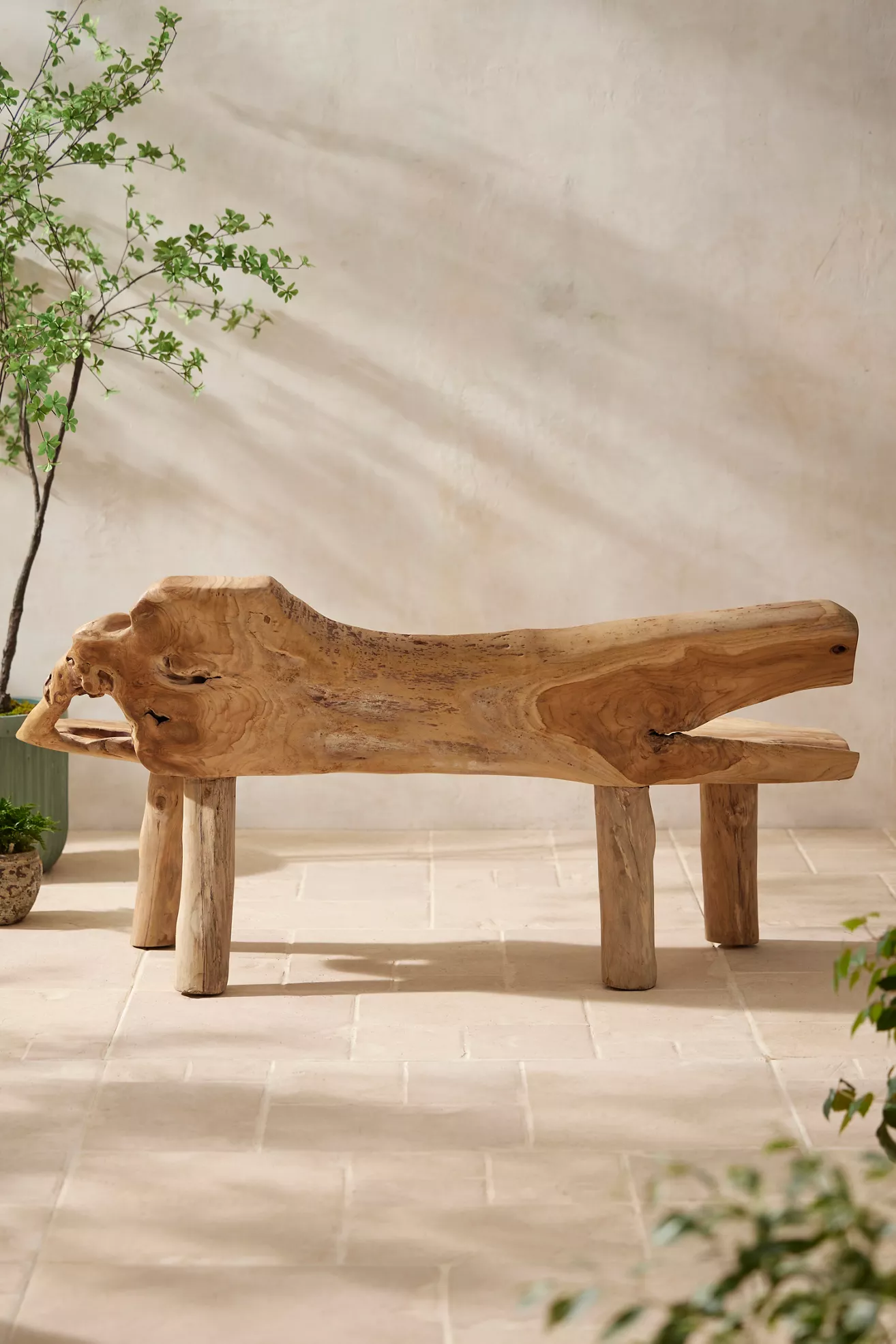 Teak Root Bench - thumbnail 6
