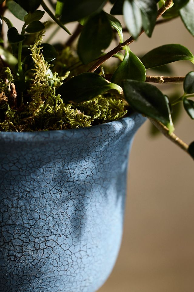Parris Fluted Urn Planter #2