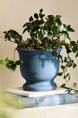 Parris Fluted Urn Planter