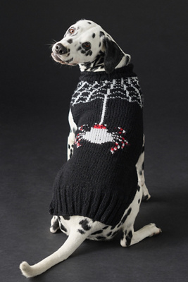 Wool Halloween Pet Sweater