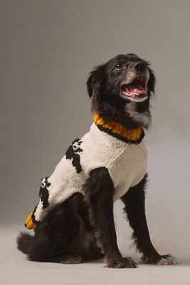 By Anthropologie Wool Halloween Pet Sweater product page