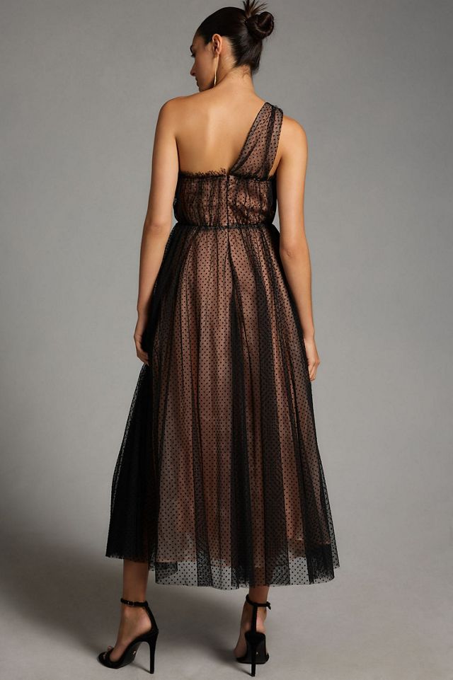 Tulle Dot Maxi Dress #1
