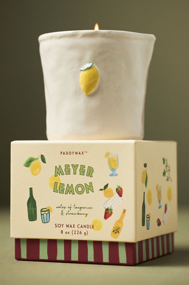 Bistro Fruity Meyer Lemon Ceramic Candle #1
