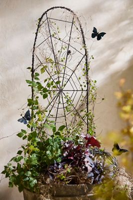 Iron Web Trellis, Large