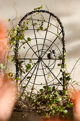 Terrain Iron Web Trellis, Small