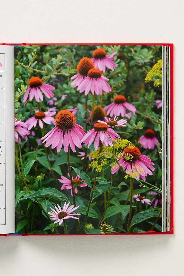 Super Bloom Field Guide Hardcover Book #2