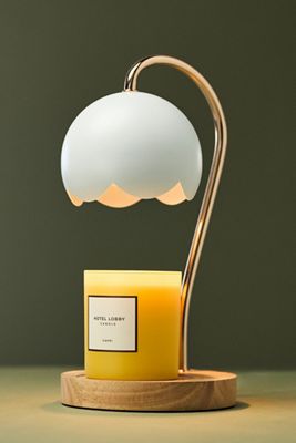 Luzè Strawberry Candle Warmer Lamp