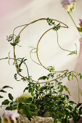 Brass Moon Trellis