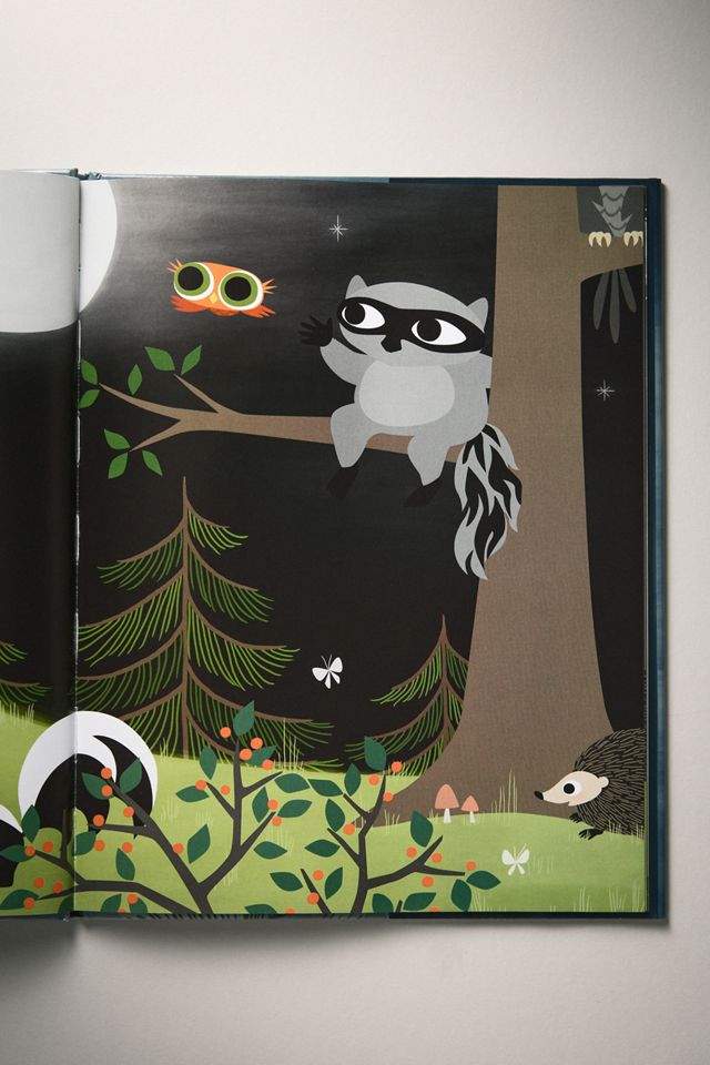 Little Owl's Fog Kids Hardcover Book